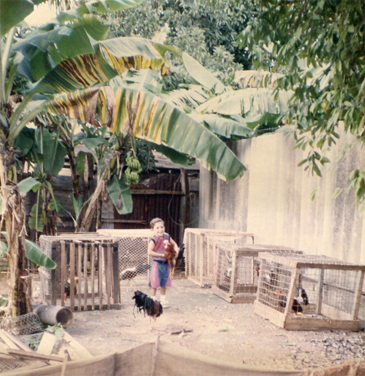 Backyard 1990